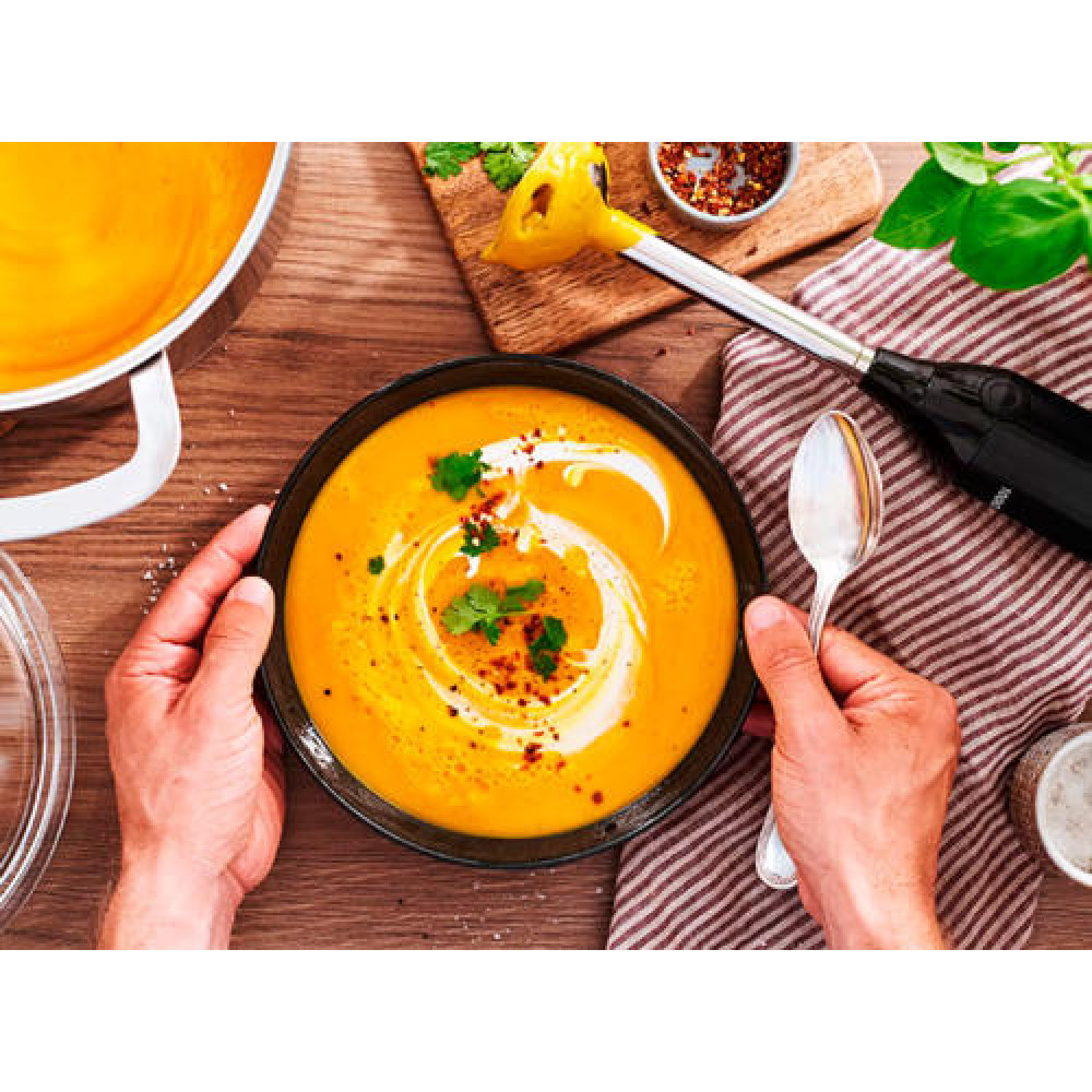 Блендер Bosch MS6CB61V1